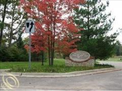 Rose Township MI Oakland County Land/Lot for Sale