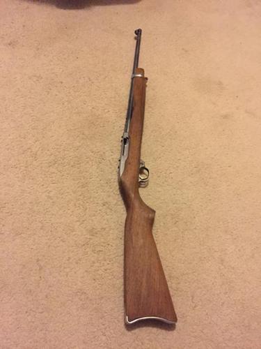 Ruger 10/22 project gun