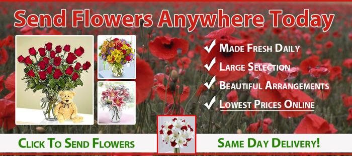 Same Day Flower Delivery Florence SC