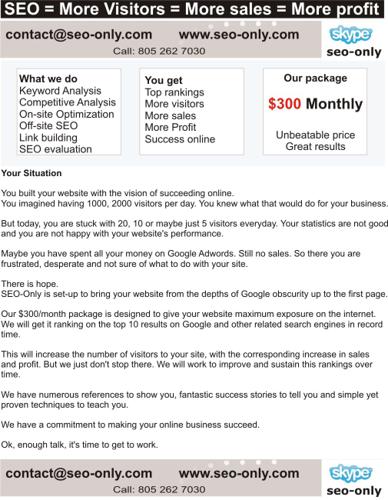 SEO prices for promoting your website $300/month service