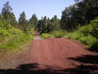 Side by side 20 acre parcels for sale