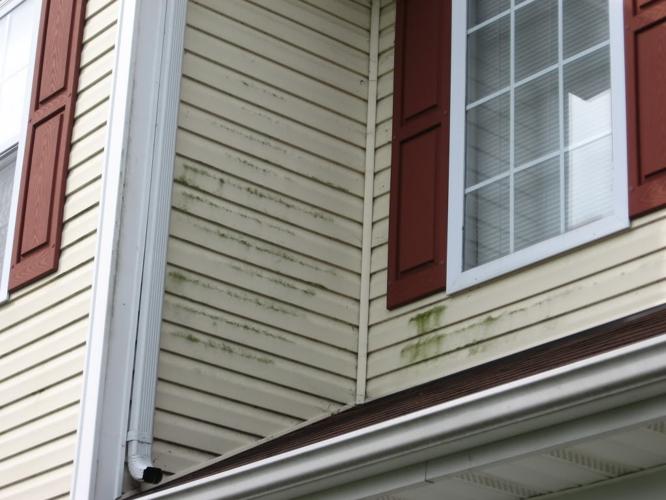 Soft Wash the Exterior of Your Home - Call Today in Chesapeake