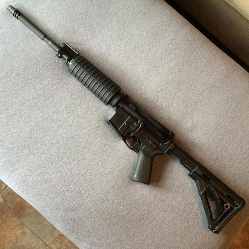 Spike's Tactical/Wilson Arms AR-15 w/ Adams Arms Piston Kit