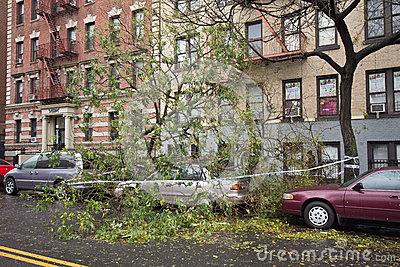 To help you with your Hurricane Sandy insurance claim