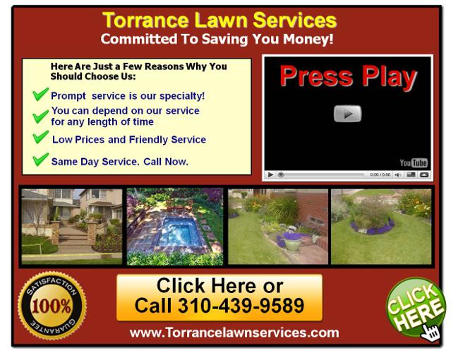Torrance and South Bay Lawn Services 310-439-9589