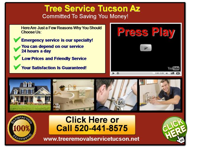 Tree Removal Tucson Arizona - (520) 441-8575 - Call for Discounts!