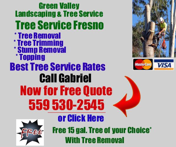 Tree Sevice - Tree Trimming, Tree Removal, Stump Removal Call For Free Quote!