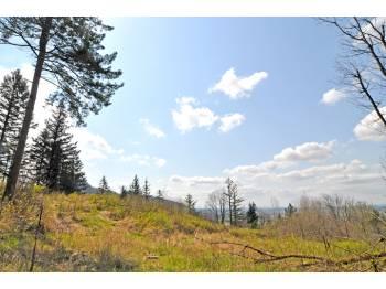Two Dramatic 5 Acre Parcels Priced To Sell