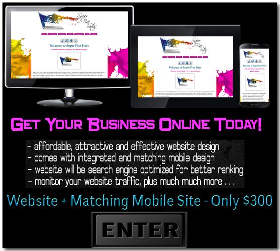 Website Design plus Matching Mobile Site - Only $300