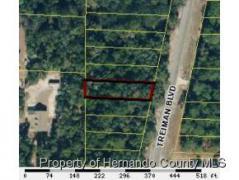 Webster FL Hernando County Land/Lot for Sale