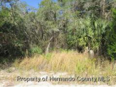 Weeki Wachee FL Hernando County Land/Lot for Sale