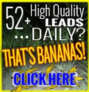 (((What if YOU Had 71 extra leads a day?)))