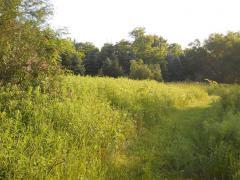 Whitmore Lake MI Washtenaw County Land/Lot for Sale
