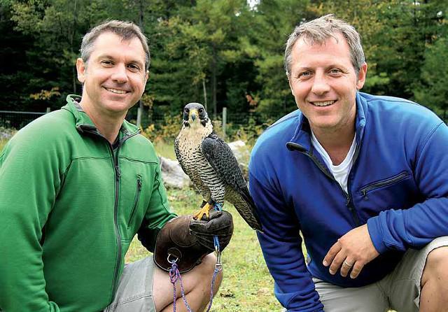 Wild Kratts - Live Tickets at Crouse Hinds Theater - Mulroy Civic Center At Oncenter on 07/31/2015