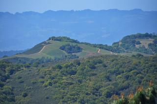 Winery Land - REDUCED - 160000 - Napa Valley Wine Country