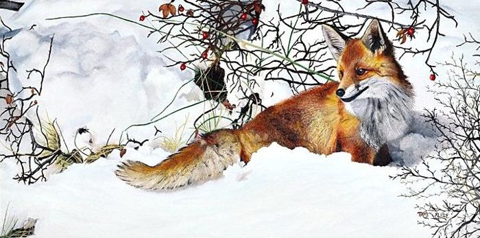 Winter's Red Beauty | Artist Tami Elise