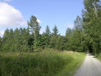 Woodsy Setting With An Established Homesite
