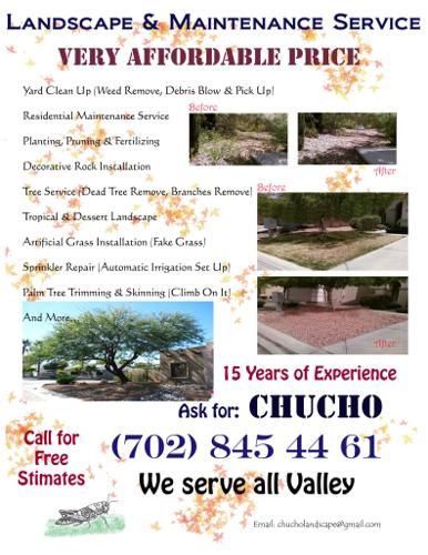 Yard Clean Up - Landscape & Yard Maintenance - Affordable & Reliable