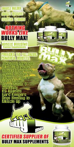 Year Supply Of Bully Max Dog Supplements 33% OFF PLUS FREE SHIPPING