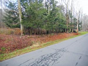 You pick 3 acres or 4+ acres - Mins to numerous lakes Bethel Woods