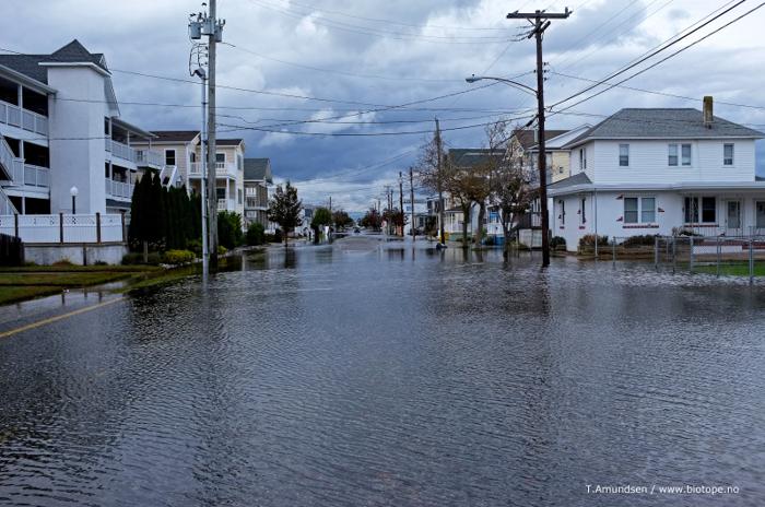 Your property has been damaged by Hurricane Sandy