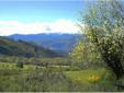 City: Winthrop
State: WA
Zip: 98862
Price: $179000
Property Type: lot/land
Agent: Mary V. Lockman MB, CRS, ABR, GR e-PRO, SFR, RSPS, R www.methowrealestateservices.com - Windermere Real Estate Methow Valley
Contact: 509-322-3008
Email: