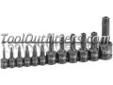 "
Grey Pneumatic 1235TT GRE1235TT 12 Pc. 1/4"", 3/8"", 1/2"" Tamper-Proof Star Driver Set
"Price: $73.36
Source: http://www.tooloutfitters.com/12-piece-1-4-3-8-1-2-drive-tamper-proof-star-set.html