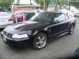 1999 Mustang 35th Anniversary 2dr Cpe
Vehicle Details
Year:
1999
VIN:
1FAFP4049XF232951
Make:
Mustang
Stock #:
1492
Model:
35th Anniversary
Mileage:
127,215
Trim:
2dr Cpe
Exterior Color:
Black
Engine:
V6 Cylinder Engine
Interior Color:
Grey
Transmission:
