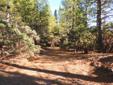 Secluded 19+ Acre Wooded Mountain Parcel
Offered By
Michael Capelle, Broker/Owner
Sunset Vista Realty
SunsetVistaRealty.com
(530) 252-8022
CA DRE #01781552
0 Galen Ridge Rd Lot 009, Berry Creek 95916
Price: $35,000
Type: Vacant Land
Bedrooms:
Bathrooms: