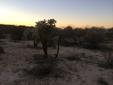 1.28 Acres. Build a Home. Build a corral. Build a Barn. Your land to do as you want...
Location: Tucson, AZ
1.28 Acres of build-able land. The address is 5907 N. Placita Chico and can be reached from La Canada. Its at the very end. The drive way is