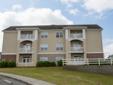 NC and is managed by Tribute Properties, a reputable property management company with verified listings on RENTCaf. Point South offers One to Three apartments ranging in size from 576 to 1125. ft. Amenities include Large Closets, Washer Dryer, W D Hookup,