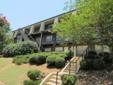 Element 26 - One Bedroom
Location: Southside
Beautiful newly renovated one bedroom ,one bathroom apartment in the heart of Southside, minutes from the UAB campus and close to the interstate.
The apartment features a modern layout with a dining area off