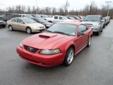 2001 FORD Mustang 2dr Cpe GT Deluxe
$8,959
Phone:
Toll-Free Phone: 8779055523
Year
2001
Interior
Make
FORD
Mileage
93595 
Model
Mustang 2dr Cpe GT Deluxe
Engine
Color
RED
VIN
1FAFP42XX1F131707
Stock
Warranty
Unspecified
Description
Air Conditioning,