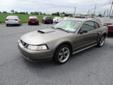 2001 Ford Mustang GT - $5,995
Security Anti-Theft Alarm System, Verify Options Before Purchase, Leather Upholstery, Drivetrain Limited Slip Differential: Rear, Audio In-Dash CD: Single Disc, Air Conditioning - Front, Seats Front Seat Type: Bucket, Seats