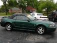 CUMBERLAND AUTO SALES
(847) 331-9122
2002 Ford Mustang
2002 Ford Mustang
Green / Black
120,000 Miles / VIN: 1FAFP44432F214108
Contact George Zervos at CUMBERLAND AUTO SALES
at 410 E. NORTHWEST HWY DESPLAINES, IL 60016
Call (847) 331-9122 Visit our website
