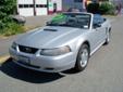 2002 Ford Mustang Convertible
Vehicle Details
Year:
2002
VIN:
1FAFP44402F140534
Make:
Ford
Stock #:
1322
Model:
Mustang
Mileage:
167,289
Trim:
Convertible
Exterior Color:
Satin Silver
Engine:
V6 Cylinder Engine
Interior Color:
Medium Graphite