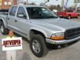 Antwerpen Auto World
9400 Liberty Road, Randallstown, Maryland 21133 -- 410-521-3000
2003 Dodge Dakota SLT Pre-Owned
410-521-3000
Price: $8,981
Click Here to View All Photos (9)
Description:
Â 
-Priced Below the Market Average- -Leather- -New Arrival