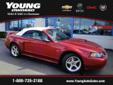 Young Chevrolet Cadillac
Receive a Free Carfax Report!
2003 Ford Mustang ( Click here to inquire about this vehicle )
Asking Price $ 13,995.00
If you have any questions about this vehicle, please call
Used Car Sales
866-774-9448
OR
Click here to inquire