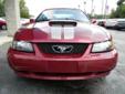 2004 FORD MUSTANG GT
$9,990
Phone:
Toll-Free Phone: 8777896971
Year
2004
Interior
BEIGE
Make
FORD
Mileage
74495 
Model
MUSTANG 
Engine
Color
BURGUNDY
VIN
1FAFP45X84F127722
Stock
P5015
Warranty
Unspecified
Description
Enjoy the road with the Mustang