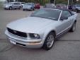Â .
Â 
2005 Ford Mustang 2dr Conv
$14995
Call 620-231-2450
Pittsburg Ford Lincoln
620-231-2450
1097 S Hwy 69,
Pittsburg, KS 66762
Nice looking convertible, has a CD player and a rear spoiler. Very low miles!
Vehicle Price: 14995
Mileage: 38500
Engine: 4L