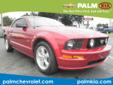 Palm Chevrolet Kia
2300 S.W. College Rd., Ocala, Florida 34474 -- 888-584-9603
2007 Ford Mustang GT Premium Pre-Owned
888-584-9603
Price: $16,600
Hassle Free / Haggle Free Pricing!
Click Here to View All Photos (12)
The Best Price First. Fast & Easy!
