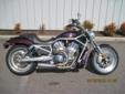 .
2007 Harley-Davidson VRSCA
$10195
Call (757) 769-8451 ext. 11
Southside Harley-Davidson
(757) 769-8451 ext. 11
385 N. Witchduck Road,
Virginia Beach, VA 23462
V-ROD
Vehicle Price: 10195
Mileage: 17038
Engine: 1134 1134 cc
Body Style: Other