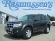Â .
Â 
2008 Ford Escape
$19000
Call 712-732-1310
Rasmussen Ford
712-732-1310
1620 North Lake Avenue,
Storm Lake, IA 50588
With its just-right size, peppy engine, well-balanced chassis and tough looks, this Escape stands out in a class of chiefly dull