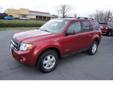 Toyota of Saratoga Springs
3002 Route 50, Â  Saratoga Springs, NY, US -12866Â  -- 888-692-0536
2008 Ford Escape XLT
Price: $ 15,722
We love to say "Yes" so give us a call! 
888-692-0536
About Us:
Â 
Come visit our new sales and service facilities ? we?re