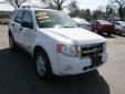 Price: $11995
Make: Ford
Model: Escape
Color: White
Year: 2008
Mileage: 99277
Check out this White 2008 Ford Escape XLT with 99,277 miles. It is being listed in Utica, NY on EasyAutoSales.com.
Source: