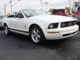 Â .
Â 
2008 Ford Mustang
$14790
Call 757-214-6877
Charles Barker Pre-Owned Outlet
757-214-6877
3252 Virginia Beach Blvd,
Virginia beach, VA 23452
Premium trim. Consumer Guide Recommended Car, newCarTestDrive.com explains An American success story., Aluminum