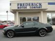 Â .
Â 
2008 Ford Mustang
$23993
Call (877) 892-0141 ext. 156
The Frederick Motor Company
(877) 892-0141 ext. 156
1 Waverley Drive,
Frederick, MD 21702
1968 re-lived. Based off of the movie classic Bullitt starring Steve McQueen, this 2008 Mustang GT Bullitt