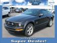 Â .
Â 
2008 Ford Mustang Premium
$16725
Call
Courtesy Ford
1410 West Pine Street,
Hattiesburg, MS 39401
ONE OWNER LOCAL TRADE-IN, CERTIFIED, 12/12000 COMPREHENSIVE LIMITED WARRANTY, POWERTRAIN LIMITED WARRANTY, ROADSIDE ASST., WITH TRIP INTERRUPTION UP TO