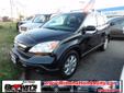 Browns Honda City
712 N Crain Hwy, Â  Glen Burnie, MD, US -21061Â  -- 410-589-0671
2008 Honda CR-V EX-L
We Sell Fast
Price: $ 21,995
All trades-ins accepted! 
410-589-0671
About Us:
Â 
Â 
Contact Information:
Â 
Vehicle Information:
Â 
Browns Honda City
Contact
