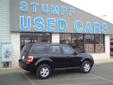 Les Stumpf Ford
3030 W.College Ave., Â  Appleton, WI, US -54912Â  -- 877-601-7237
2009 Ford Escape XLT
Price: $ 16,680
You'll love your Les Stumpf Ford. 
877-601-7237
About Us:
Â 
Welcome to Les Stumpf Ford!Stop by and visit us today at Les Stumpf Ford, your